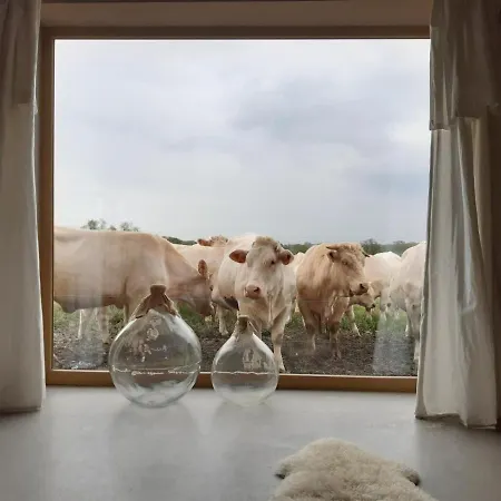 Maison Authentique Avec Et Animaux Acceptes - Fr-1-496-7 Landhaus *