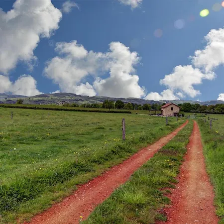 Landhaus Maison Authentique Avec Et Animaux Acceptes - Fr-1-496-7 Saint-Forgeux-Lespinasse